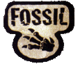 Pokémon TCG: Fossil