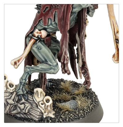 Abhorrant Cardinal (Flesh-eater Courts)