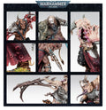 Accursed Cultists