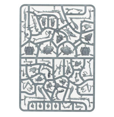 Ash Waste Nomads Dustback Helamites