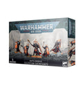 Celestian Sacresants – Adepta Sororitas