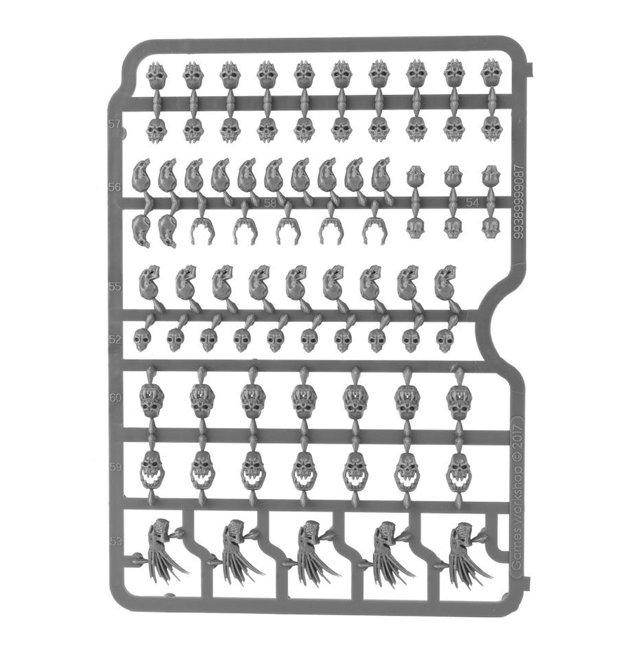 Citadel Skulls (340-Piece Bits Box)