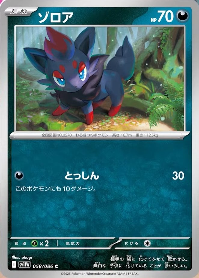 Zorua - White Flare JP: Additionals (Common) [xsv11W-058]