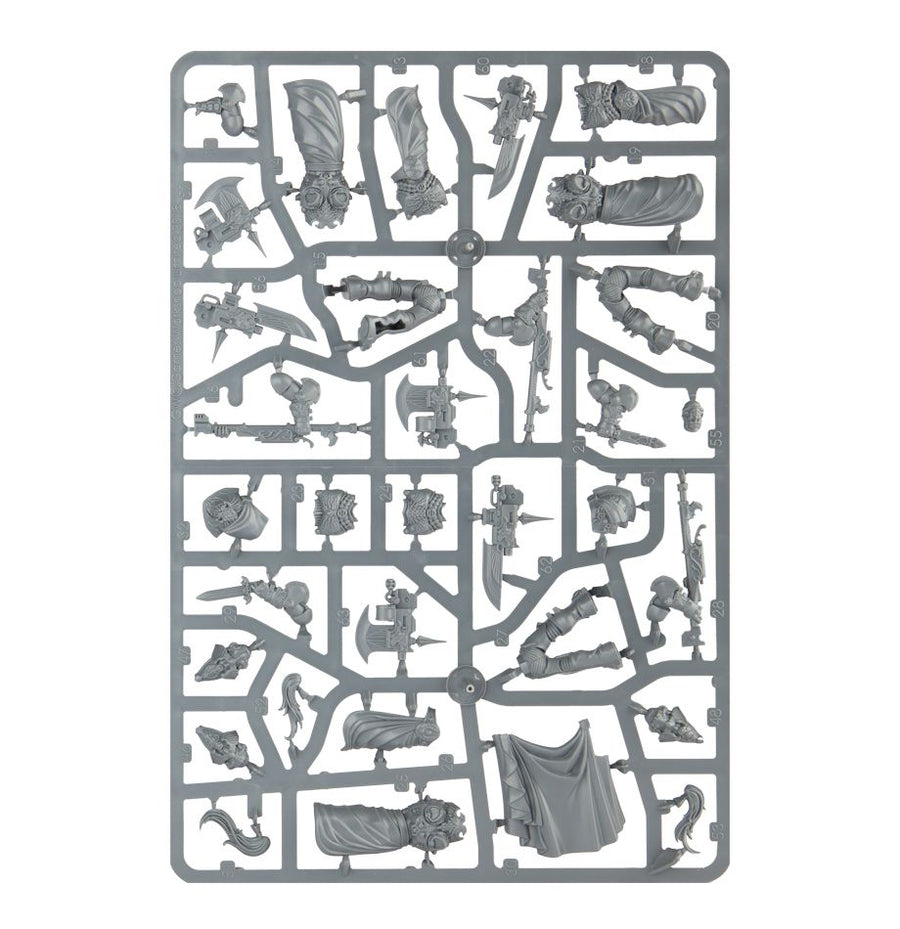 Protectores Custodios