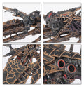 Heldrake