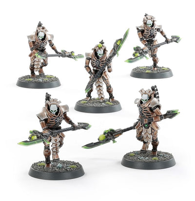 Necroguardia