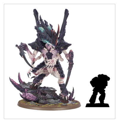 Emisario Norn