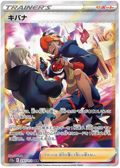 Raihan - VSTAR Universe (Special Illustration Rare) [s12a-237]