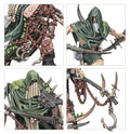 Punta de lanza: Maggotkin of Nurgle – Célula Bubónica