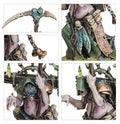 Punta de lanza: Maggotkin of Nurgle – Célula Bubónica