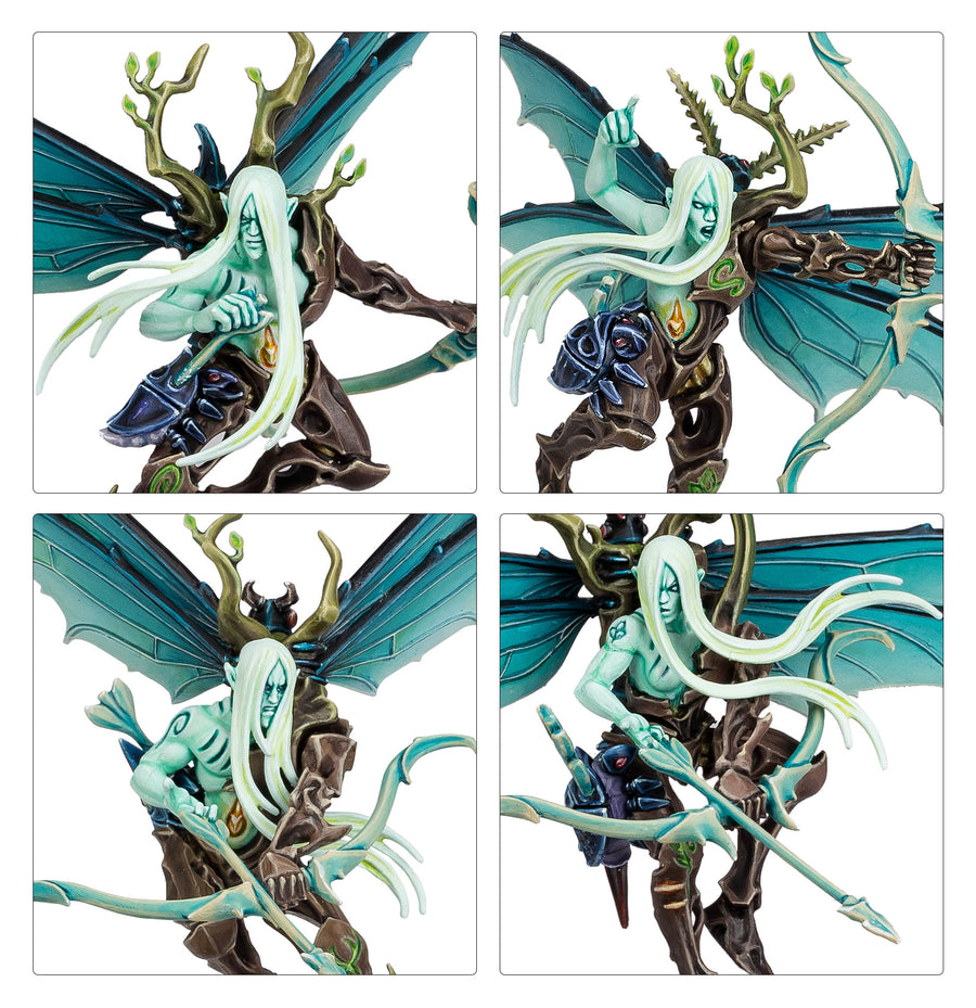 Spearhead: Sylvaneth – Spitewing Flight