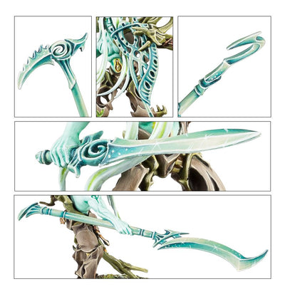 Tree-Revenants – Sylvaneth Age of Sigmar Miniatures Kit