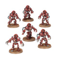 Ursarax Cohort