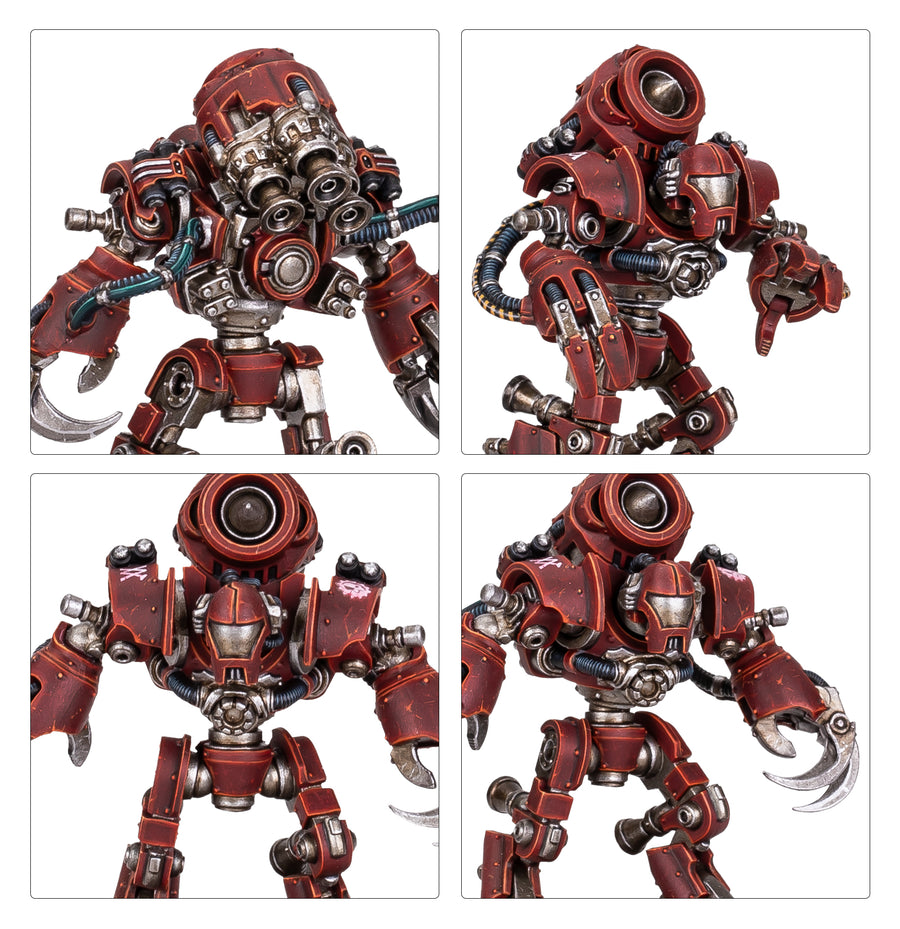 Ursarax Cohort
