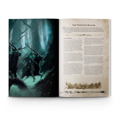 Warhammer: The Old World – Forces of Fantasy (English)