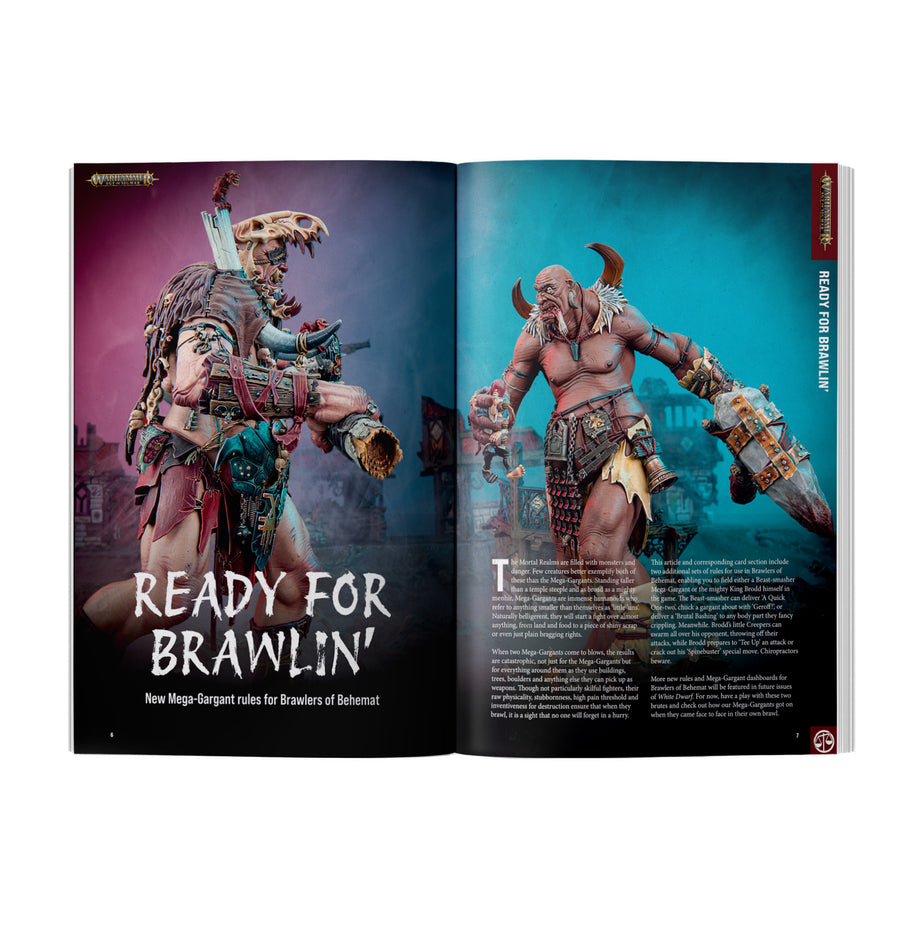 White Dwarf 529 (Inglés)